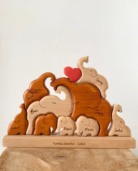 Family of 9 elephants